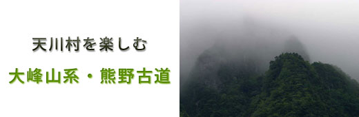 庵の郷周辺の観光案内